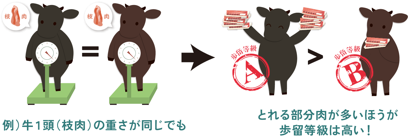 歩留等級説明イラスト